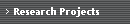 Research Projects
