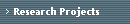 Research Projects